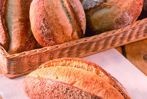 IREKS Naturin - Malt Bread Recipe