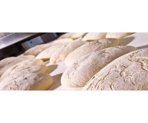 IREKS Fertig Sour - Sourdough Bread
